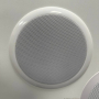 ТП-20 Акустика потолочная HL Audio