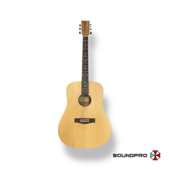 Акустическая гитара SOLISTA SGR-D2 N