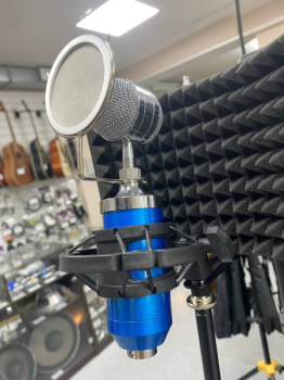 PS-SOUND STM-E3000, конденсаторный студийный микрофон, 20Гц-20кГц, кардиоида Б/У