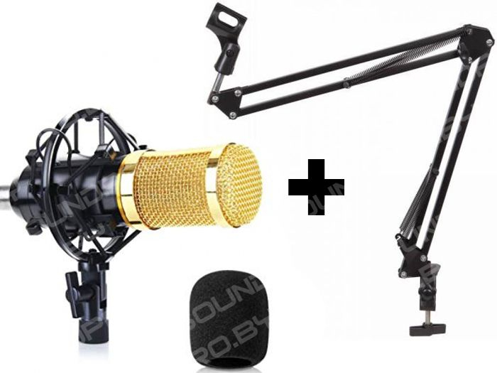 BM-800 Студийный микрофон + пантограф Fzone