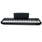 Цифровое фортепиано SOLISTA DP125BK