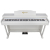 Цифровое фортепиано SOLISTA DP200WH